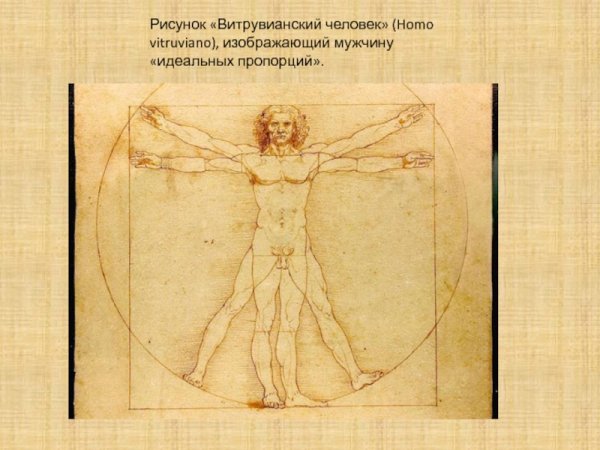 Леонардо да Винчи человек Витрувианский человек