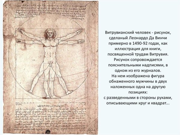 Человек Леонардо да Винчи