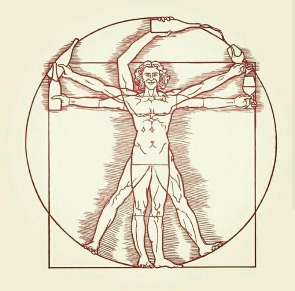 Да Винчи человек Витрувианский