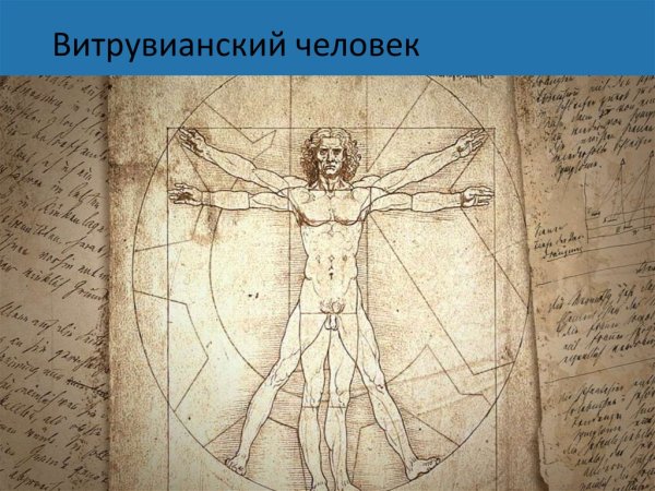 Да Винчи человек Витрувианский
