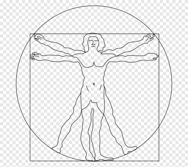 Витрувианский человек Леонардо