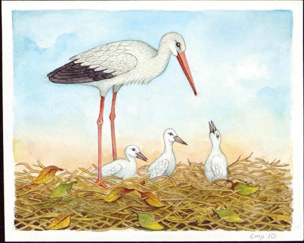 Целищев Геннадий Дмитриевич художник