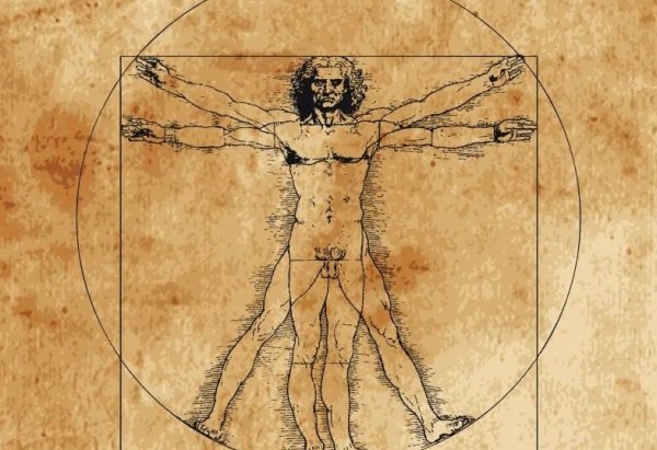 Картина да Винчи человек Витрувианский