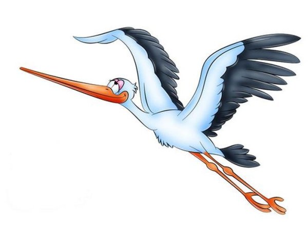 Аист картинка для детей