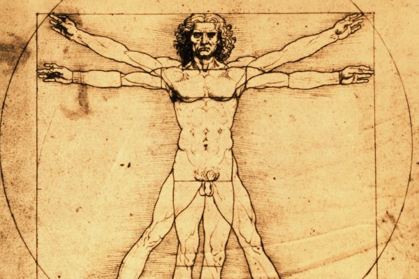 Витрувианского человека Леонардо да Винчи