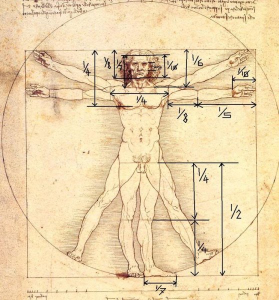 Пропорции человека Леонардо да Винчи