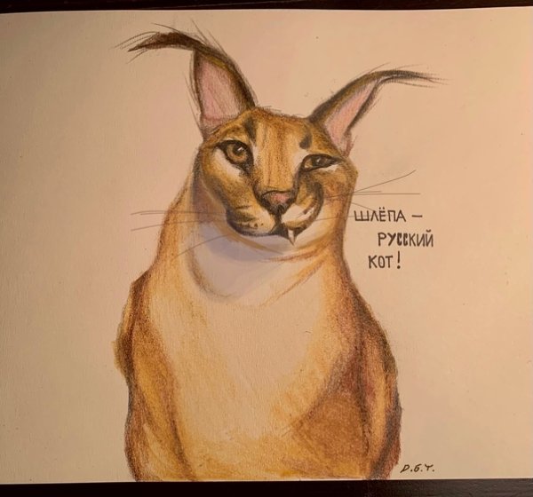 Шлепа нарисованный кот