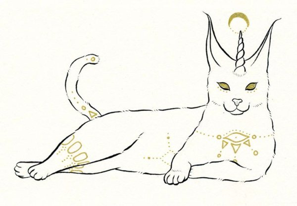 Каракал раскраска