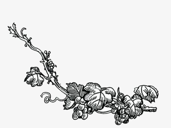 Стилизованный виноград