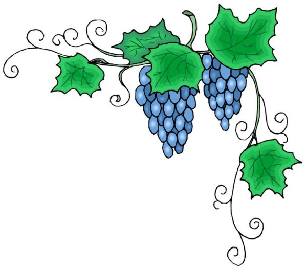 Гроздь винограда вектор