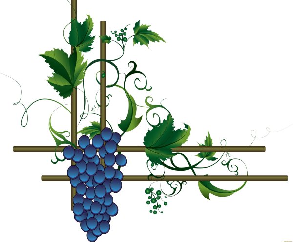 Виноград стилизация