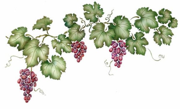 Церковный орнамент Виноградная лоза