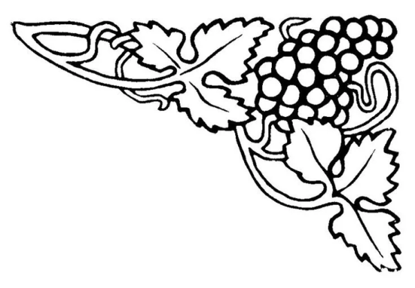 Виноградная лоза арка вектор