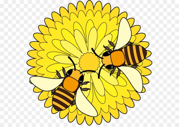 Рисуем пчелку на цветке