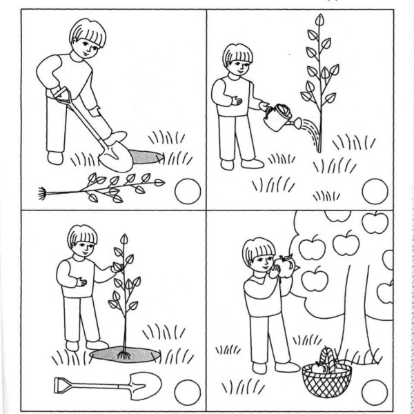 Задания на последовательность для дошкольников