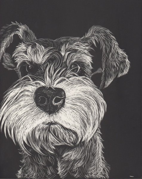 Граттаж собака