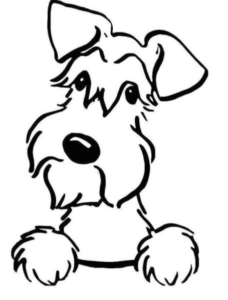 Цвергшнауцер сбоку экстерьер нарисованный тень