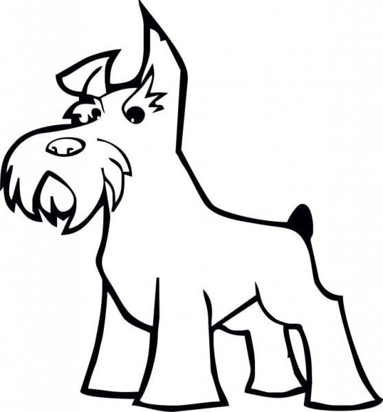 Шнауцер терьер карандаш