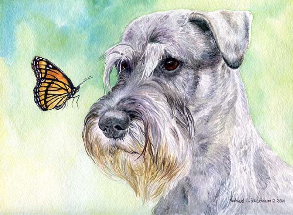 Цвергшнауцер эмодзи