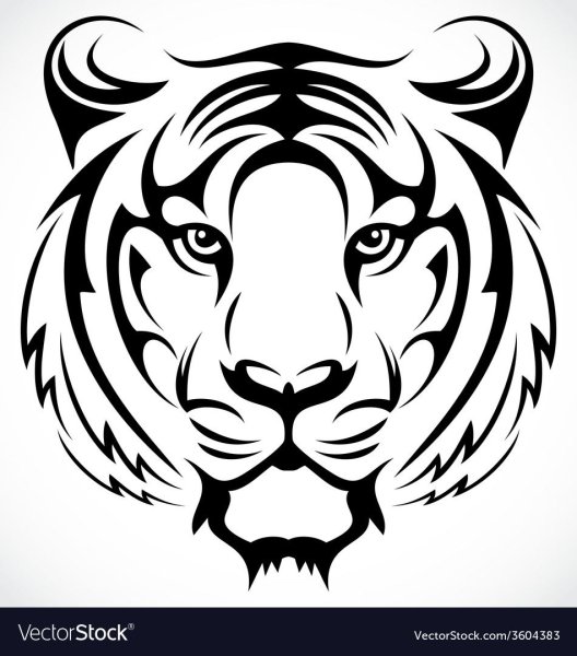 Тигр трайбл эскиз