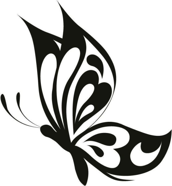 Трафарет бабочки на стену