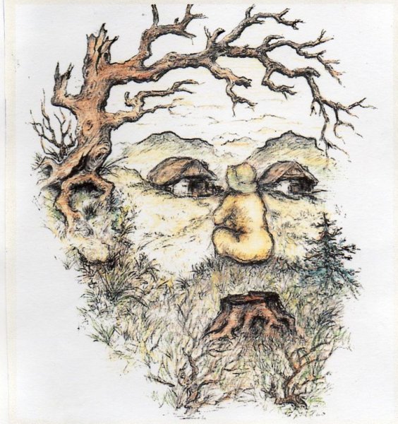 Оптические иллюзии лица