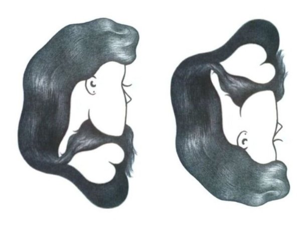 Двойственные изображения для детей