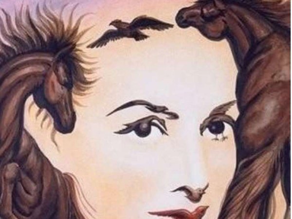 Картина иллюзия девушка