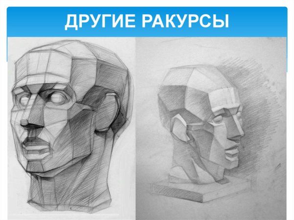 Голова Гудона Академический обрубовка