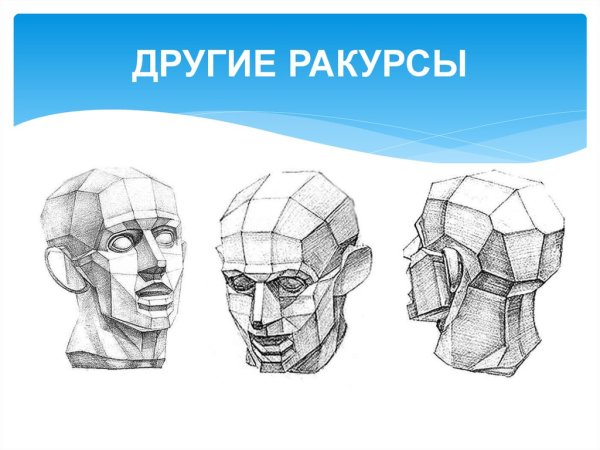 Рисунок гипсовой головы обрубовки по Гудону
