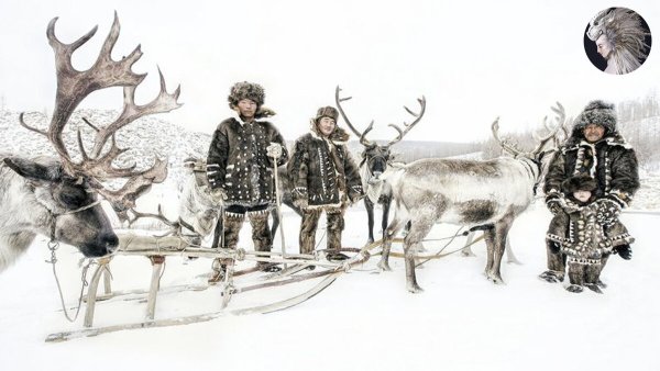 Долганы оленеводство