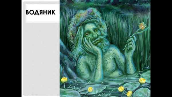 Домовой водяной