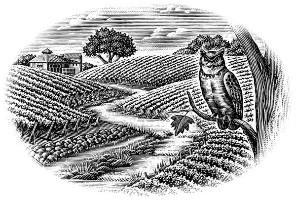 Линейная гравюра