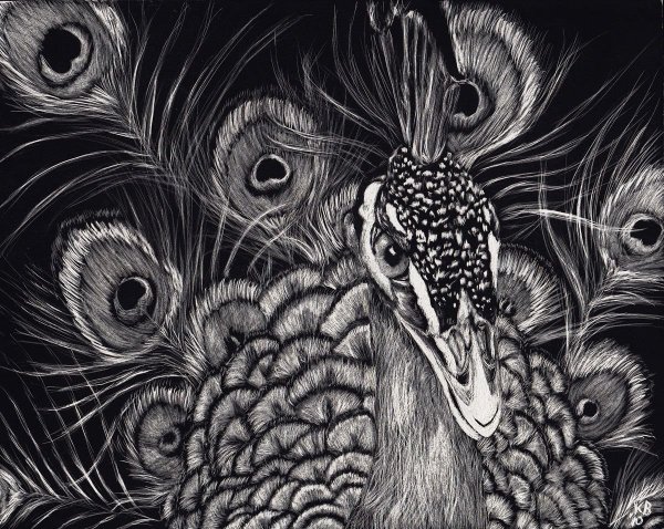 Гравюра черно белая