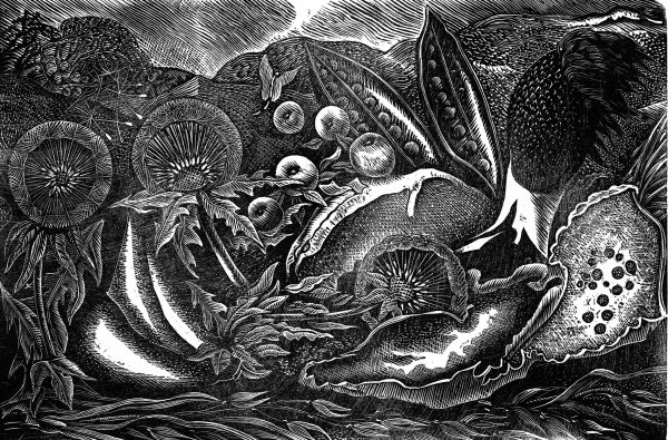 Макс Эрнст граттаж