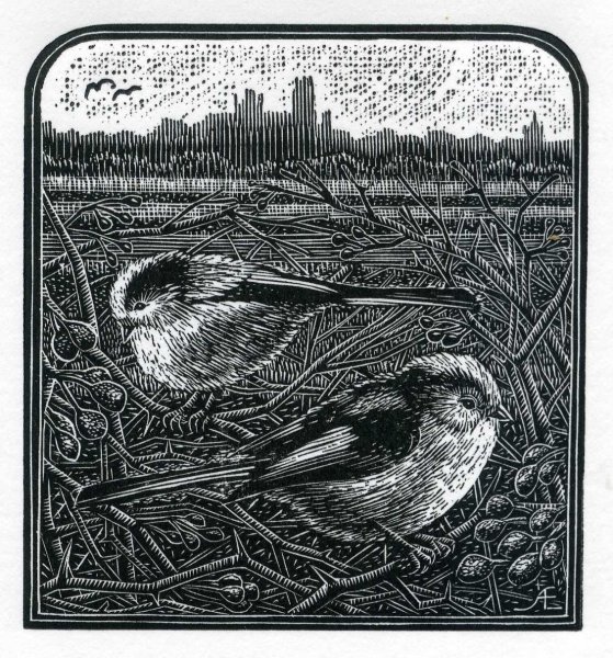 Гравюра, линогравюра, Ксилография, офорт,эстамп