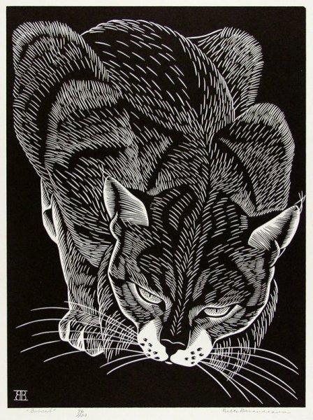 Кошка гравюра