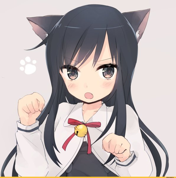 Аки Чан неко