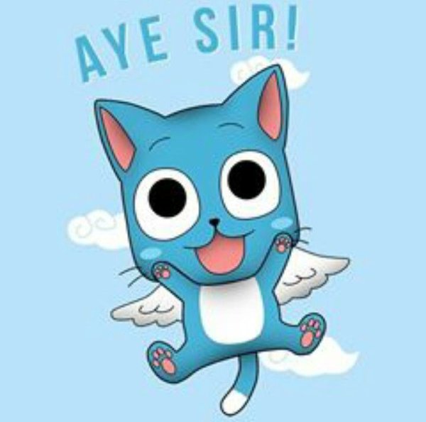 Хэппи хвост феи чб