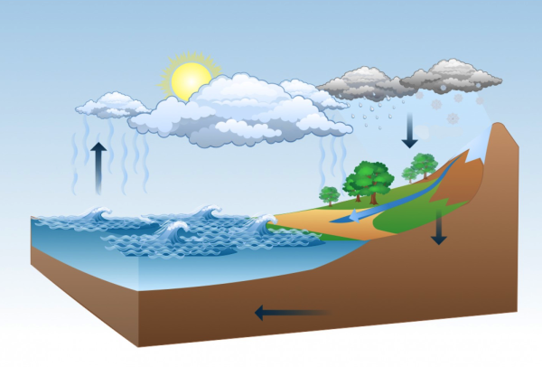 Испарение конденсация осадки круговорот воды
