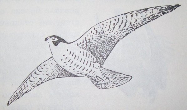 Раскраски поезда РЖД Сапсан