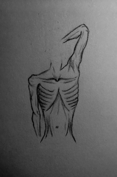 Рисунки анорексии и булимии