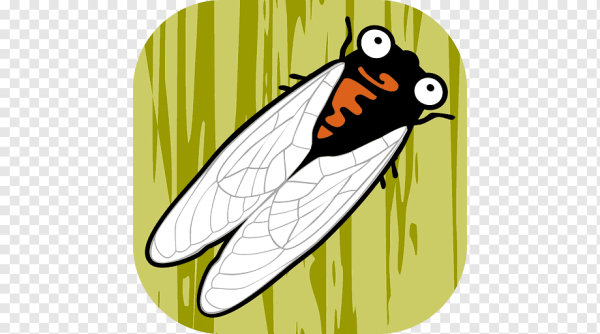 Цикада логотип