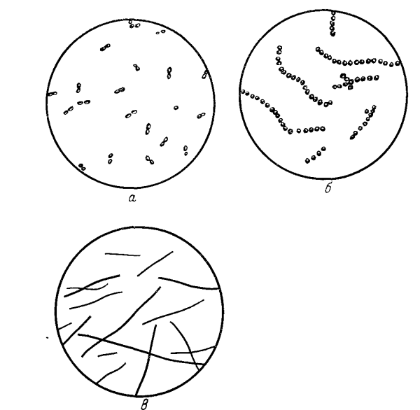 Молочнокислый стрептококк рисунок