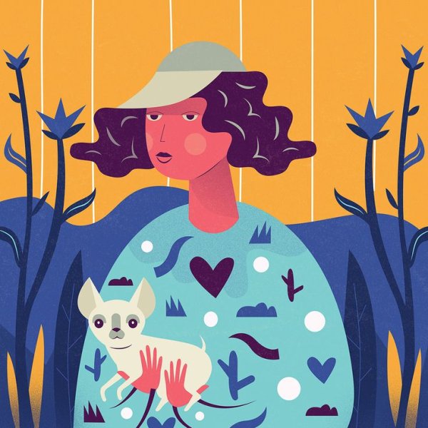 Иллюстрации Illustrator