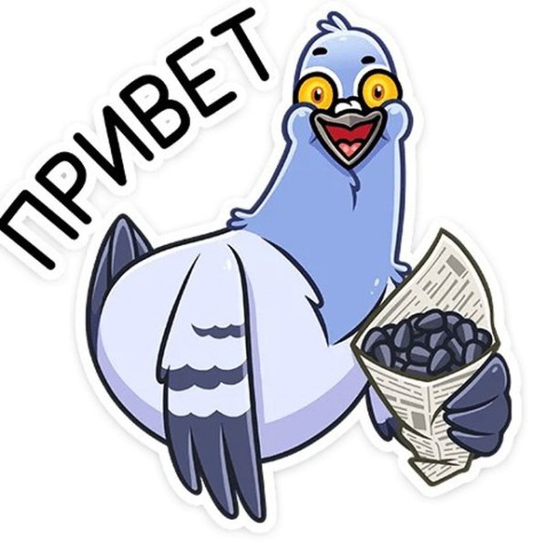 Стикеры телеграмм голубь