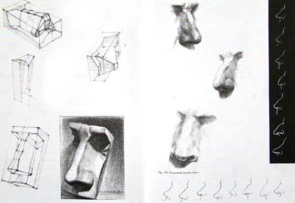 Нос Давида схема