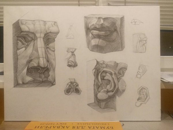 Академическое рисование части лица Давид пошагоаво