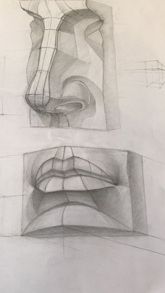 Нос Давида гипс построение