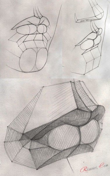 Губы Давида Академический рисунок построение